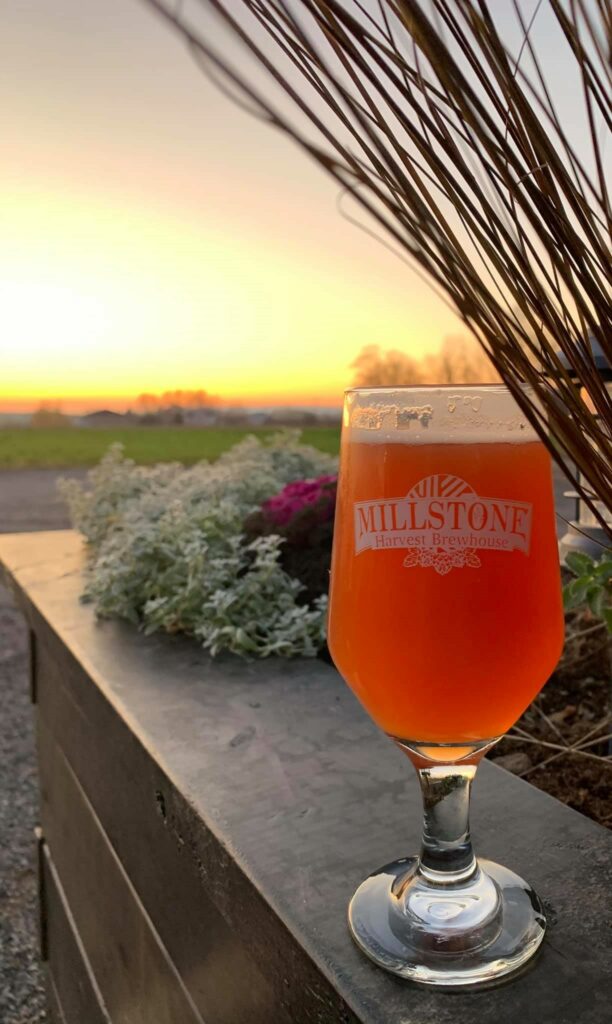 A glass of Millstone Harvest Brewhouse Beer in a footed Glass. The Glass is sitting on the edge of an outdoor planter at sunset.