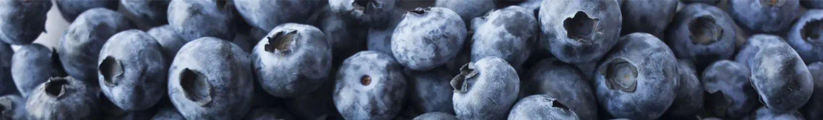 An up close photo of ripe loose blueberries.