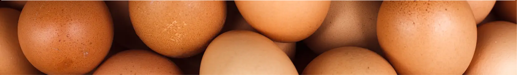 a photo of brown speckled eggs.
