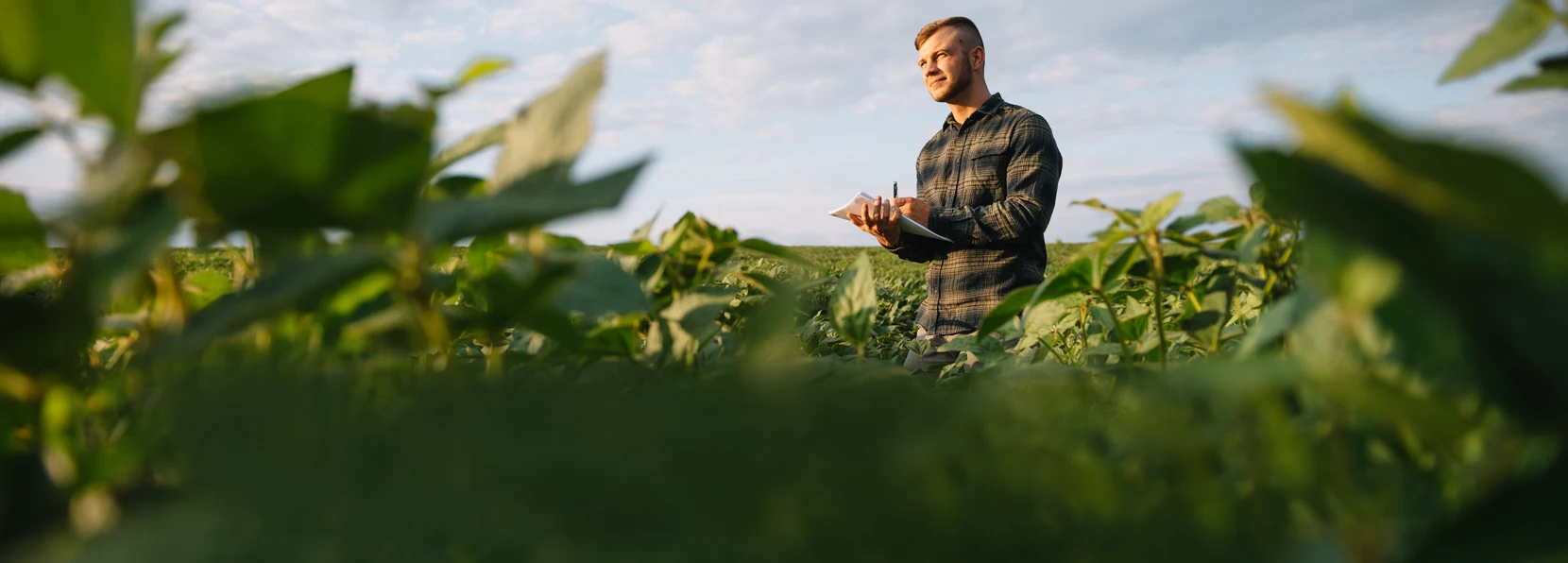 A man standing in a field of plants, making notes about the crops.