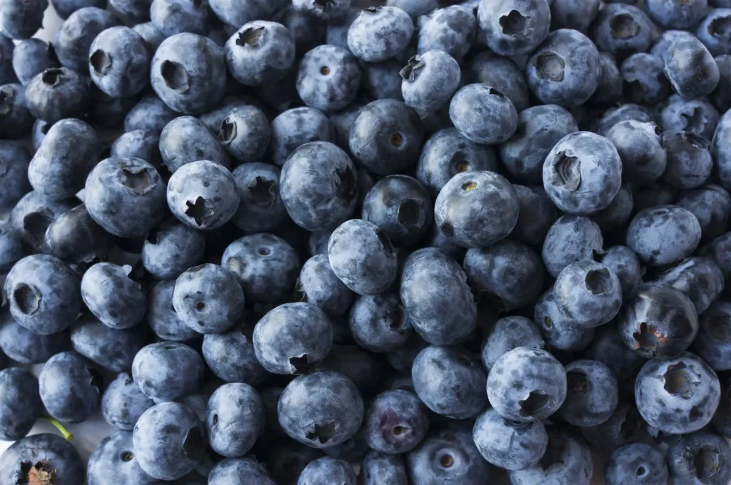A close up photo of ripe loose blueberries.