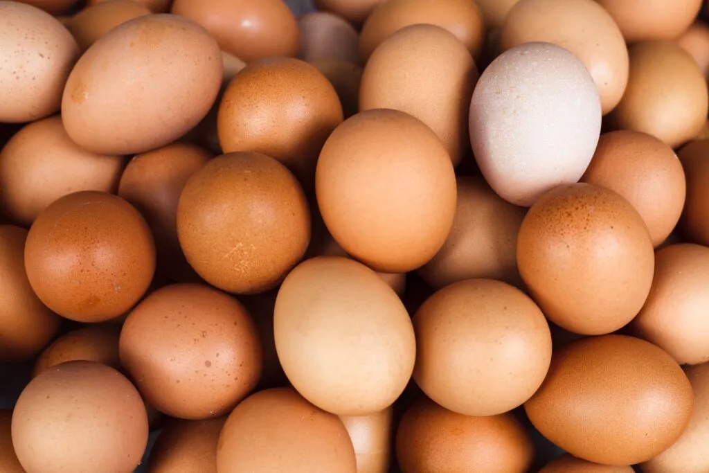 A photo of brown speckled eggs.