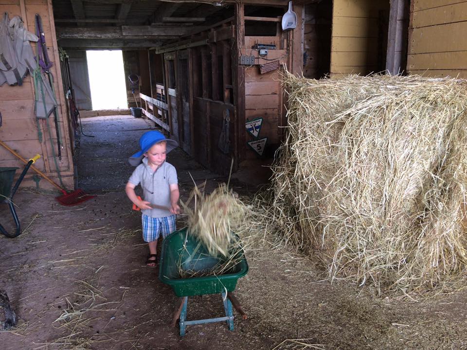 Jake and Rebecca's son Foster pitches in to help with the chores.